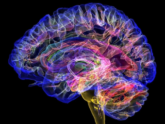 操逼视频网不卡顿大脑植入物有助于严重头部损伤恢复